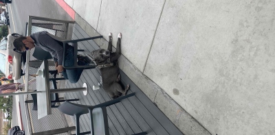 कार्लस्बैड स्कैवेंजर हंट टीम फोटो